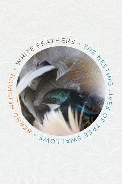 White Feathers (eBook, ePUB) - Heinrich, Bernd