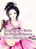 Blind Prince Meets His Pretty Princess (eBook, ePUB)