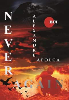 Never Again (eBook, ePUB) - Apolca