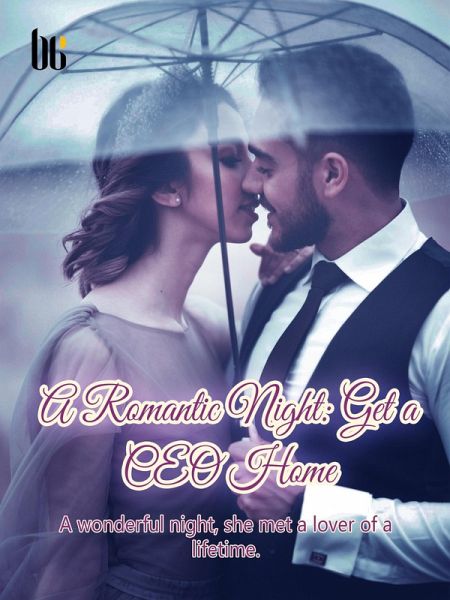 Romantic Night: Get a CEO Home (eBook, ePUB)