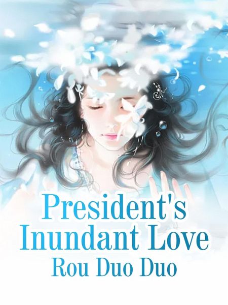 President's Inundant Love (eBook, ePUB)