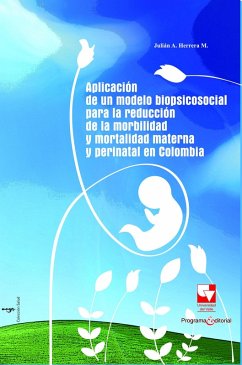 Aplicación de un modelo biopsicosocial (eBook, PDF) - A. Herrera, Julián