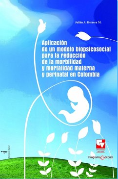 Aplicación de un modelo biopsicosocial (eBook, PDF) Cover Aplicación de un modelo biopsicosocial (eBook, PDF)