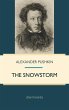 Snowstorm (eBook, PDF) - Bild 1