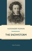 Snowstorm (eBook, PDF)