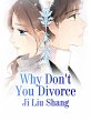 Why Don't You Divorce (eBook, ePUB) - Bild 1