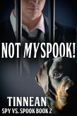 Not My Spook (eBook, ePUB)