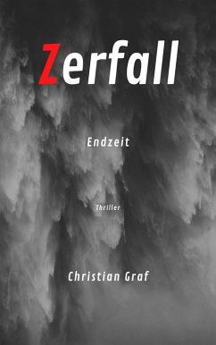 Cover Zerfall (eBook, ePUB)