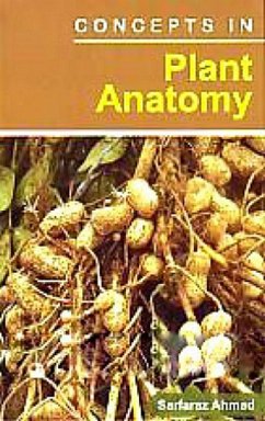 Cover Concepts In Plant Anatomy (eBook, ePUB)