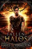 Fallen Halos (eBook, ePUB)