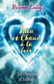 Bleu et Chaud a la fois (eBook, ePUB)