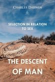 Descent of Man (eBook, PDF)