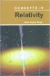 Concepts In Relativity (eBook, ePUB) - Bild 1