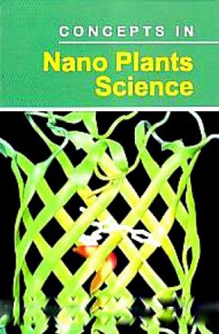 Cover Concepts In Nano Plant Science (eBook, ePUB)
