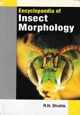 Encyclopaedia Of Insect Morphology (eBook, ePUB)