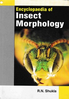 Cover Encyclopaedia Of Insect Morphology (eBook, ePUB)