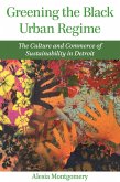Greening the Black Urban Regime (eBook, ePUB)