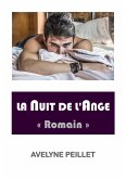 La Nuit de l'ange (eBook, ePUB)
