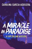 Miracle in Paradise (eBook, ePUB)