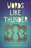 Words like Thunder (eBook, ePUB)