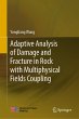Adaptive Analysis of Damage and... - Bild 1