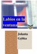 Labios en la ventana (eBook, ePUB) - Bild 1