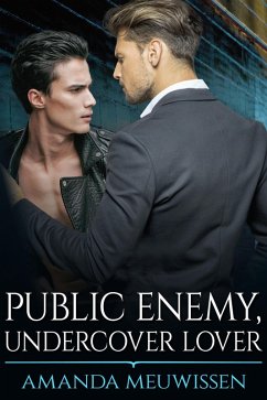 Cover Public Enemy, Undercover Lover (eBook, ePUB)