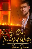 Bridge Over Troubled Water (eBook, ePUB)