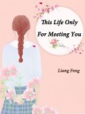 This Life Only For Meeting You (eBook, ePUB)