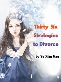 Thirty-Six Strategies to Divorce (eBook, ePUB)