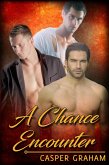 Chance Encounter (eBook, ePUB)