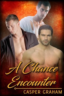 Cover Chance Encounter (eBook, ePUB)