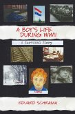 Boy's Life During WWII. A Survival Story (eBook, ePUB)