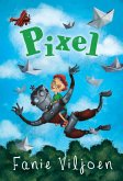 Pixel (eBook, ePUB)