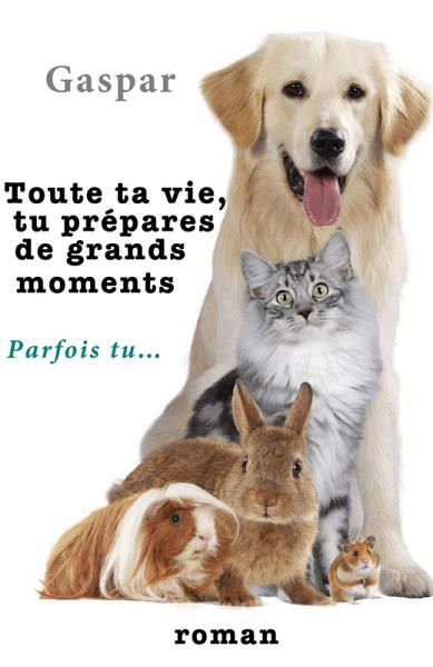 Toute ta vie, tu prepares de grands moments (eBook, ePUB) Toute ta vie, tu prepares de grands moments (eBook, ePUB)