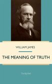 Meaning of Truth (eBook, PDF)