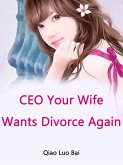 CEO, Your Wife Wants Divorce Again (eBook, ePUB)