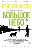 Большое небо (eBook, ePUB)