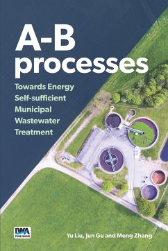 Cover A-B processes (eBook, ePUB)
