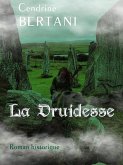 La Druidesse (eBook, ePUB) La Druidesse (eBook, ePUB)