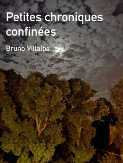 Petites chroniques confinees (eBook, ePUB) - Bruno Villalba, Villalba