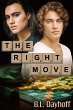 Right Move (eBook, ePUB) - Bild 1