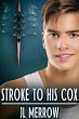 Stroke to His Cox (eBook, ePUB) - Bild 1