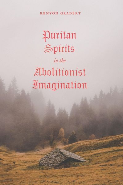 Puritan Spirits in the Abolitionist Imagination (eBook, PDF)