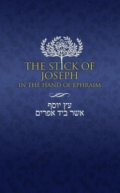 The Stick of Joseph in the Hand of Ephraim (eBook, ePUB)