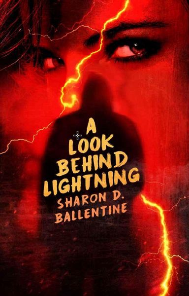 Look Behind Lightning (eBook, ePUB)