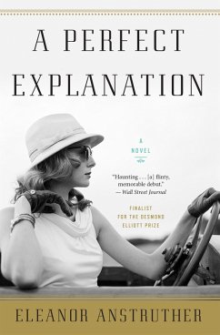 Perfect Explanation (eBook, ePUB) - Anstruther, Eleanor