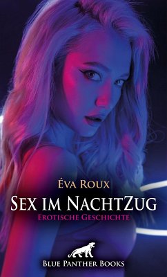 Cover Sex im NachtZug   Erotische Geschichte (eBook, ePUB)