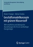 Geschäftsmodellkonzepte mit grünem Wasserstoff (eBook, PDF)