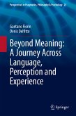 Beyond Meaning: A Journey Across Language, Perception and Experience (eBook, PDF)